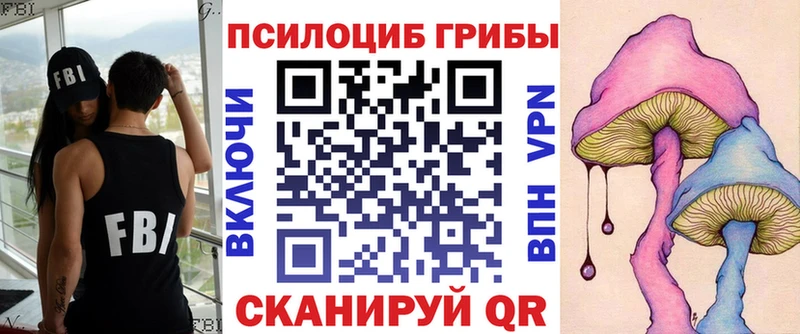 Галлюциногенные грибы Psilocybe  Видное 